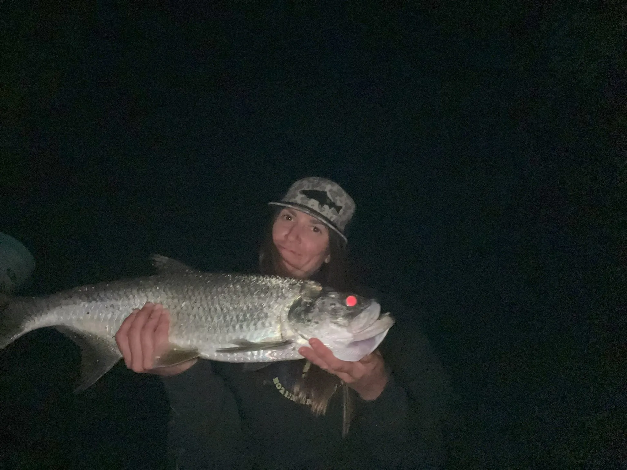 Tarpon catch at a lighted dock at night near Anna Maria Island