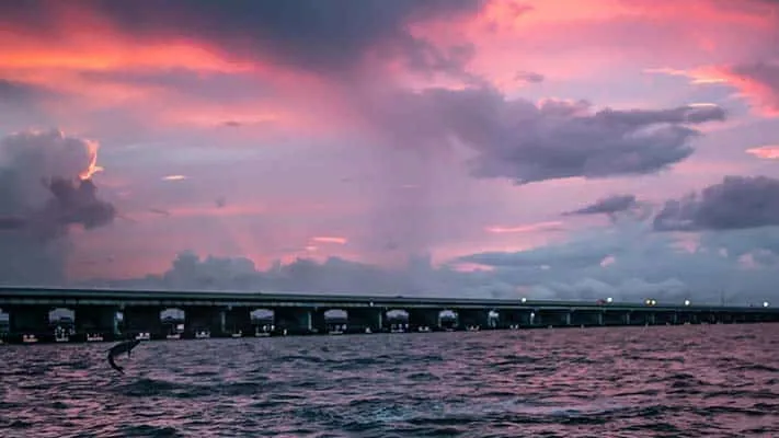 Sunset cruise near Anna Maria Island