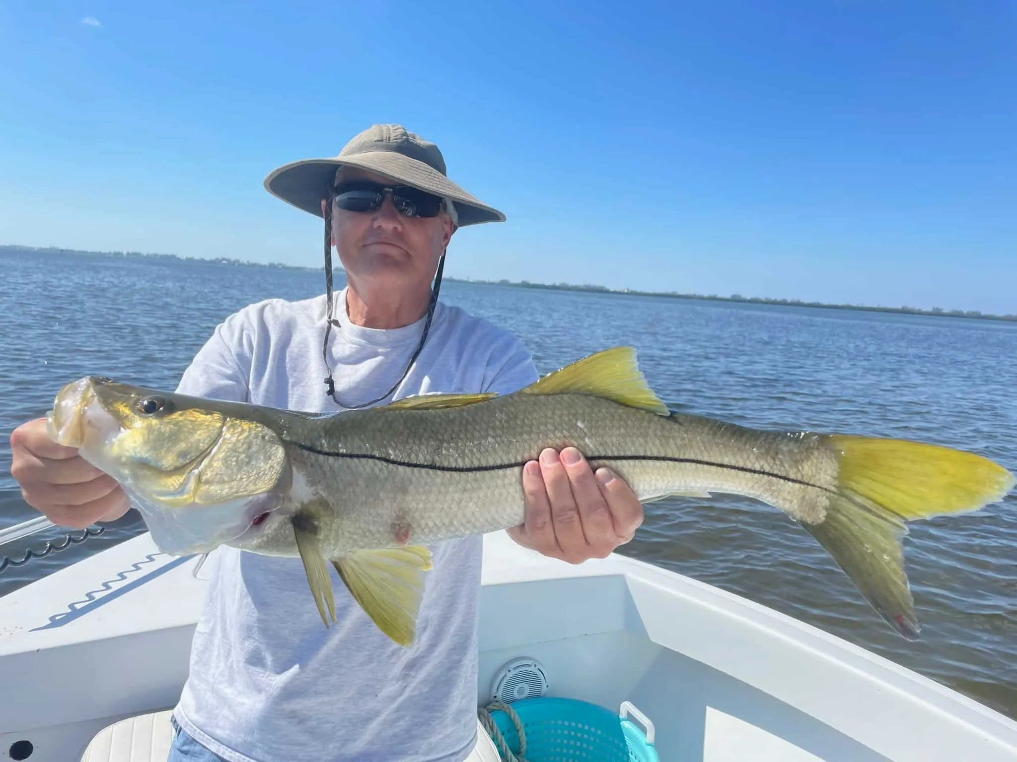 Inshore fishing catch near Anna Maria Island