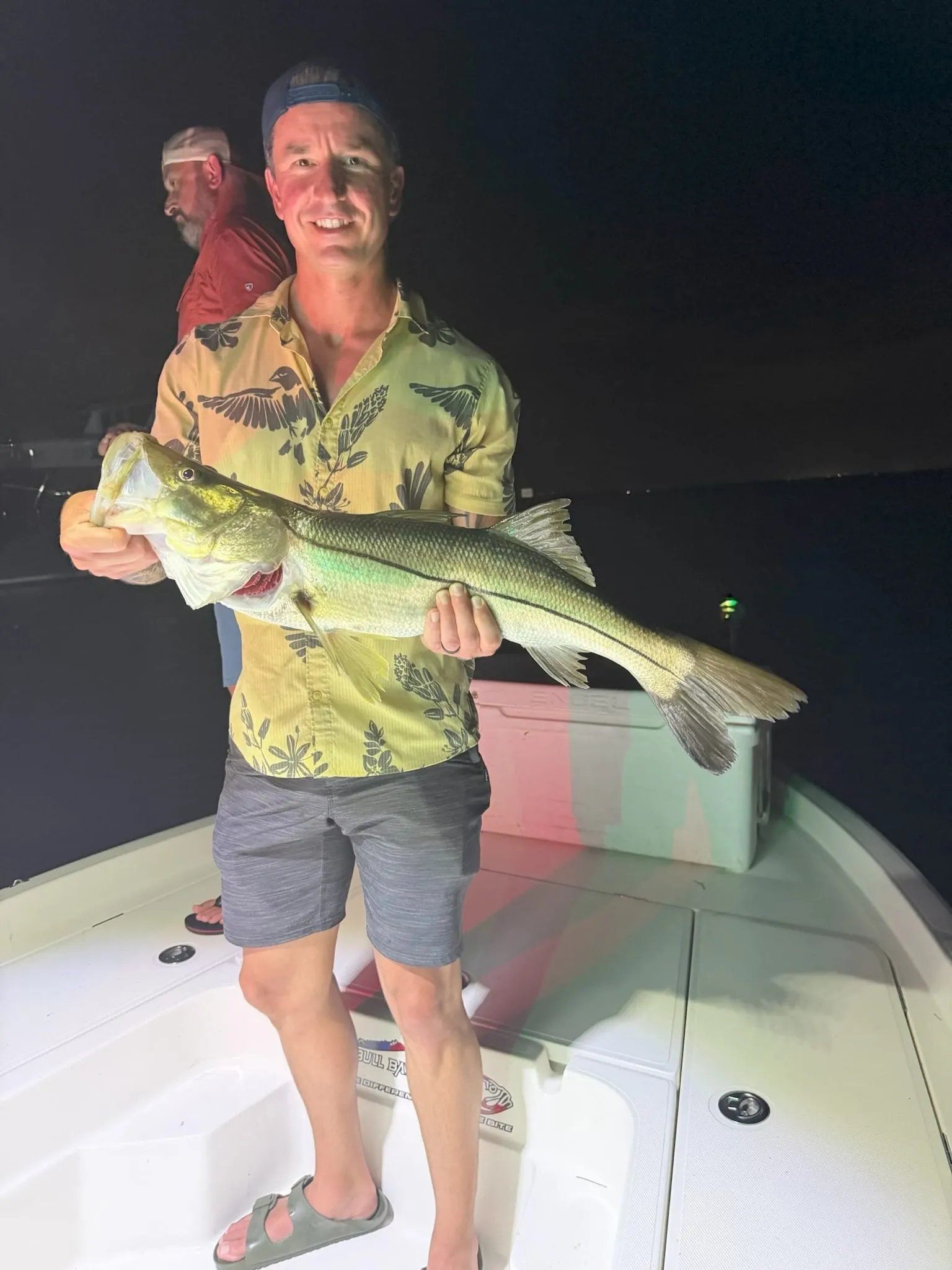 Snook caught under the lights on a night charter near Anna Maria Island