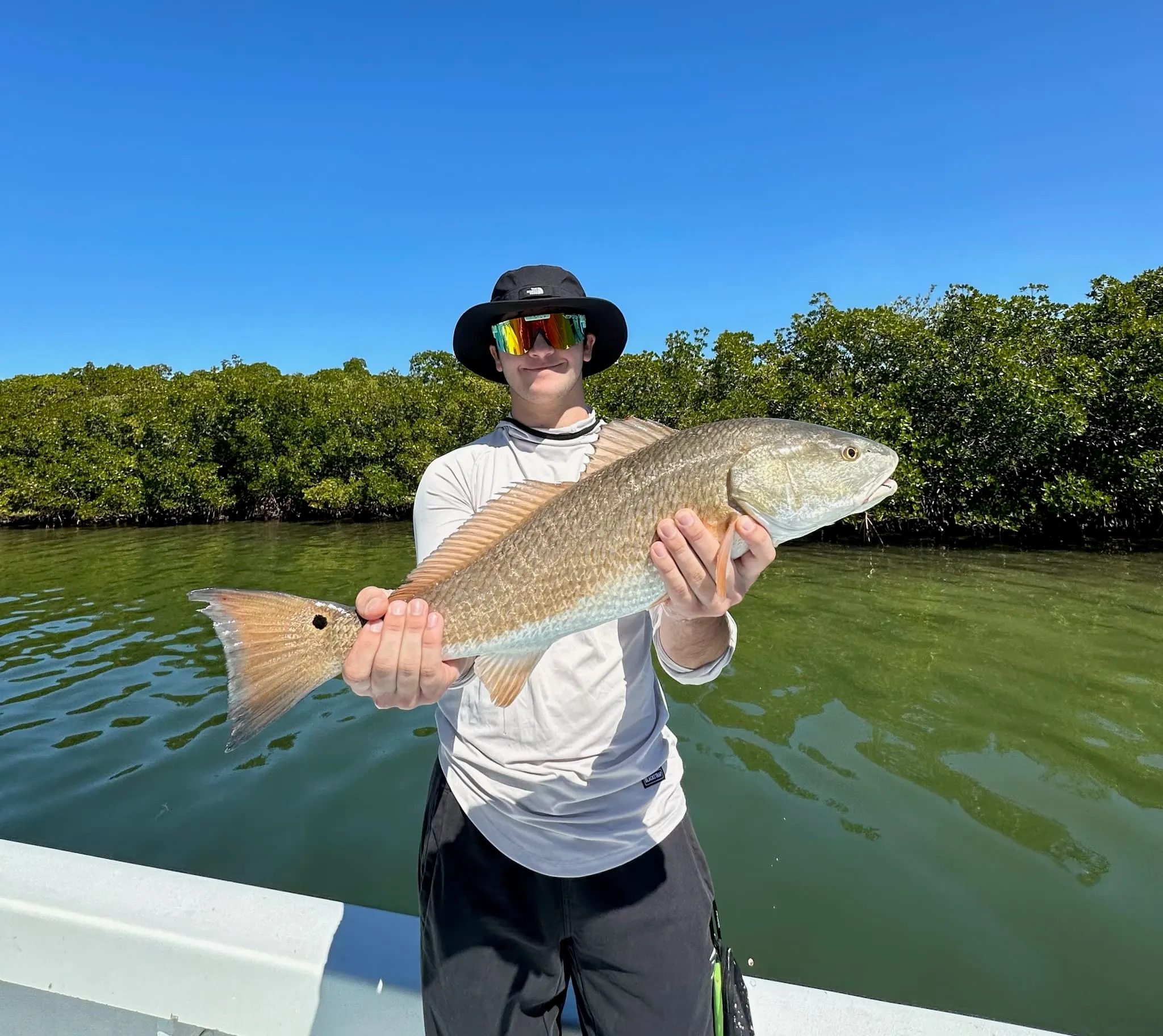 Inshore fishing catch near Anna Maria Island
