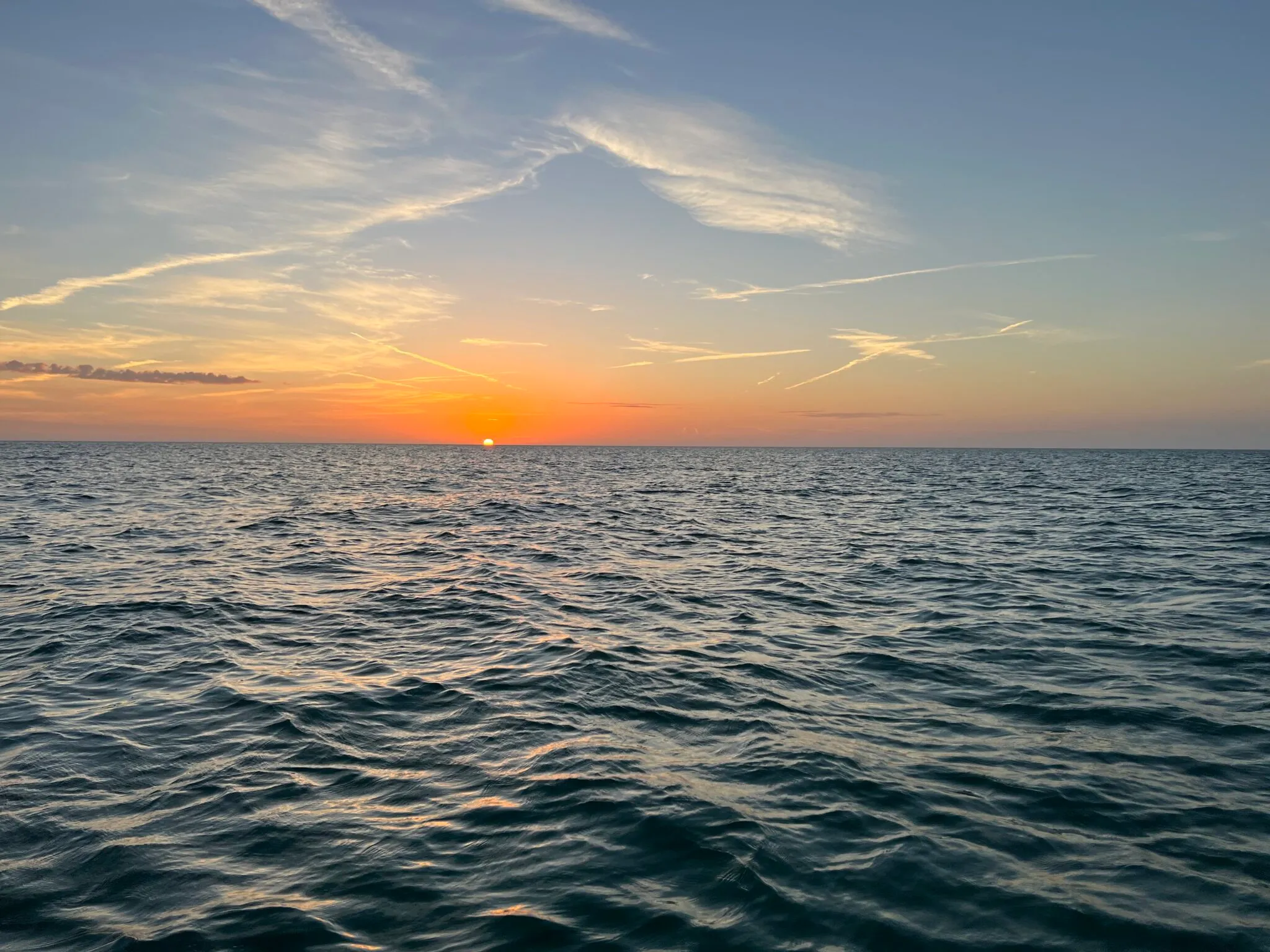 Sunset cruise near Anna Maria Island