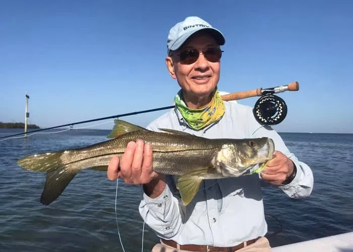 Angler sight-casting to snook and redfish while fly fishing the flats near Anna Maria Island