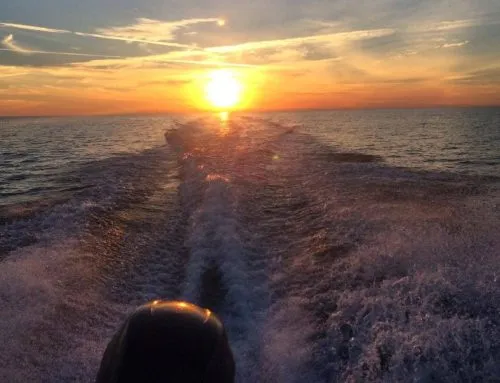 Siesta Key Boat Tours & Excursions — Siesta Key, Florida