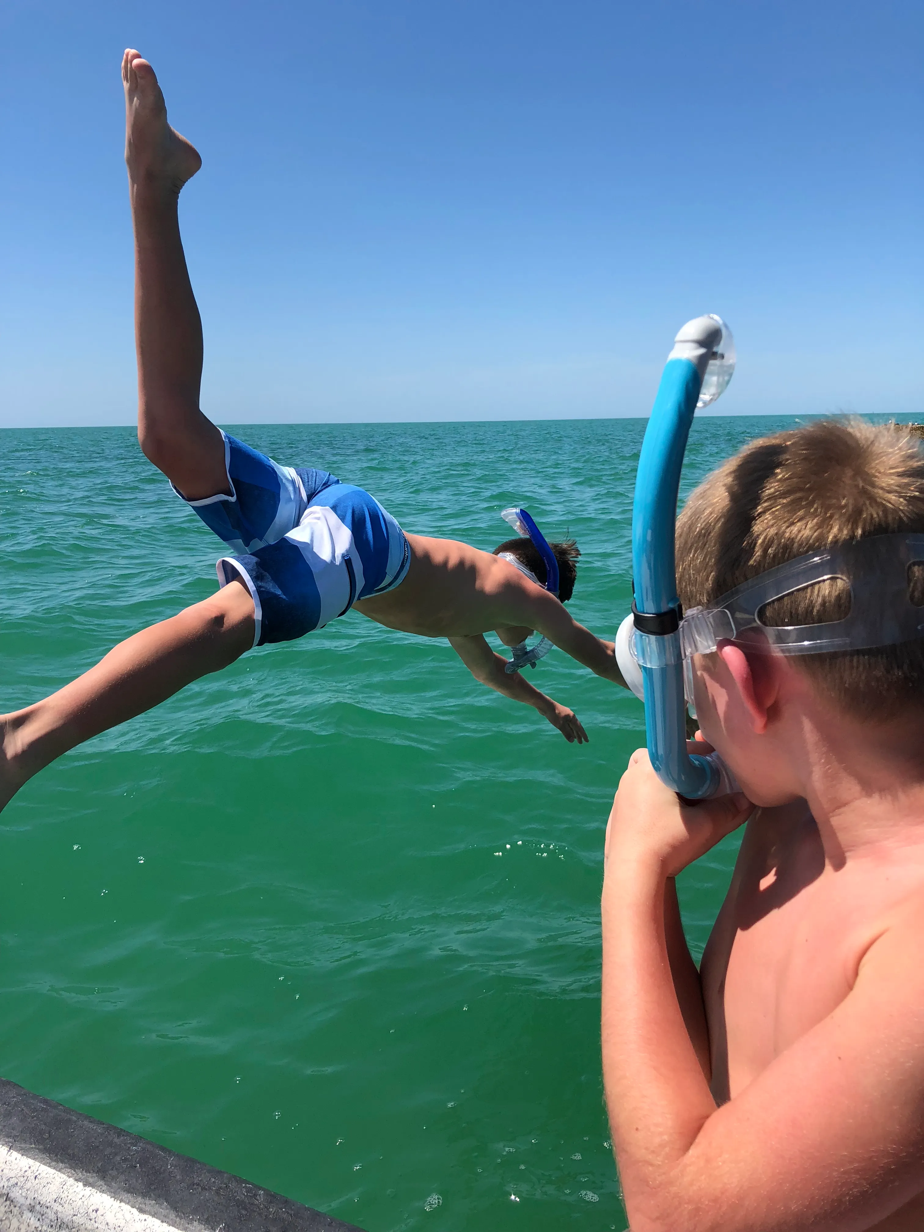 Snorkeling Adventures near Anna Maria Island