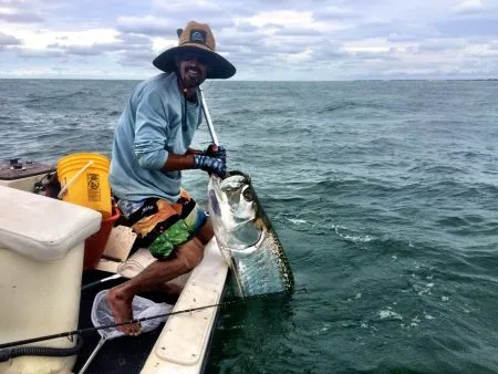 80lb Tarpon Off Egmont Key