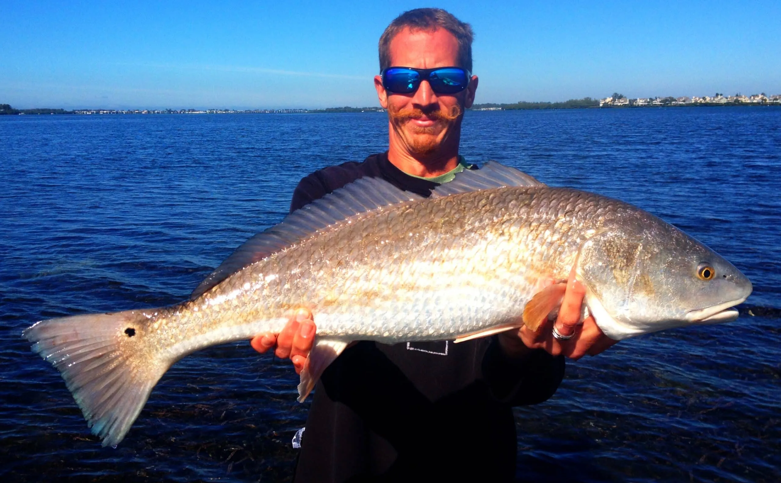 Fly fishing near Anna Maria Island