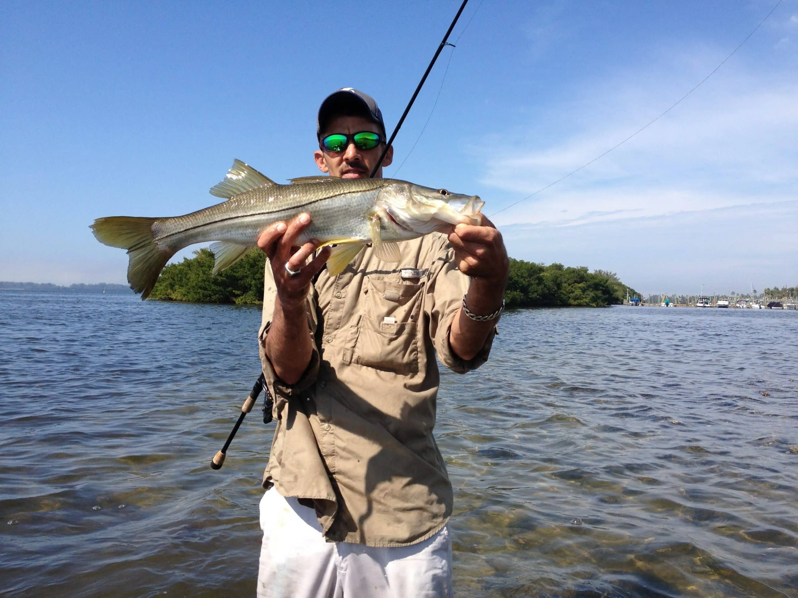 Fly fishing near Anna Maria Island