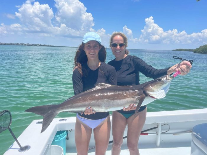 offshore charters this fall A couple holding a large cobia