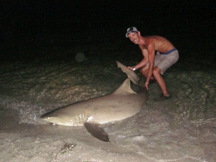 January fishing charters on Anna Maria Bull Shark2