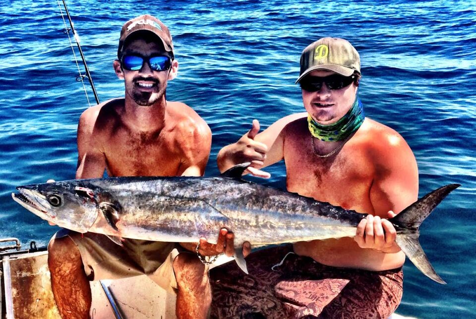 Kingfish in November 2