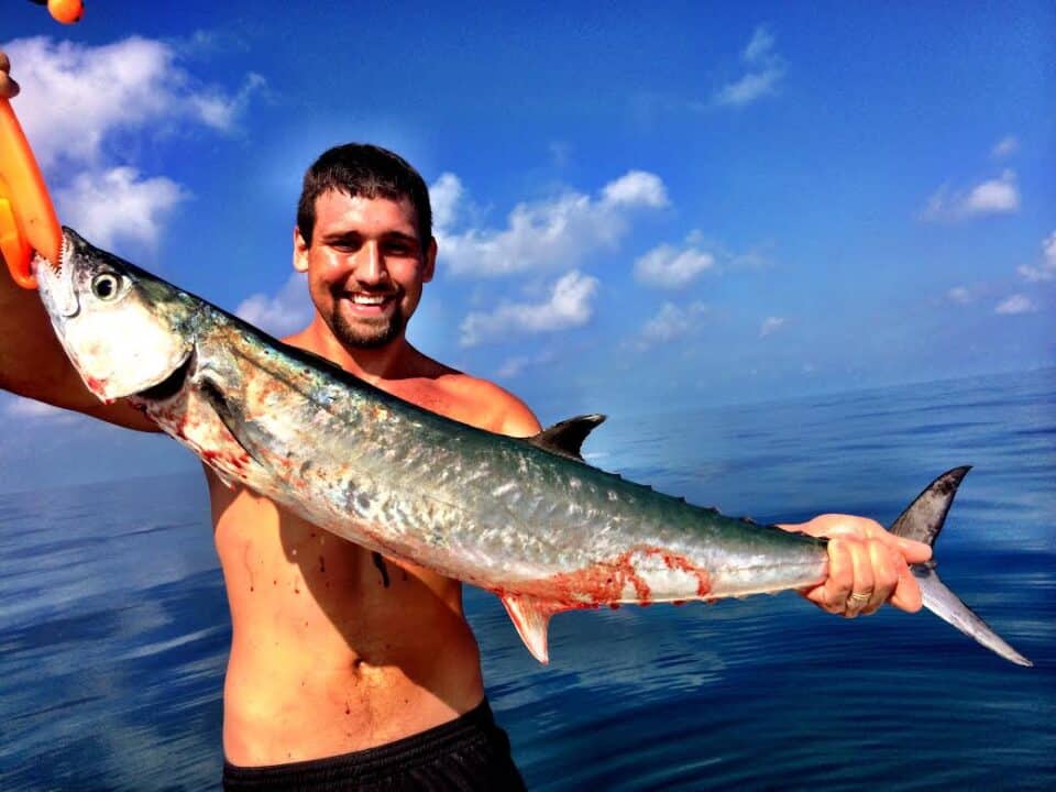offshore chaters in november Kingfish